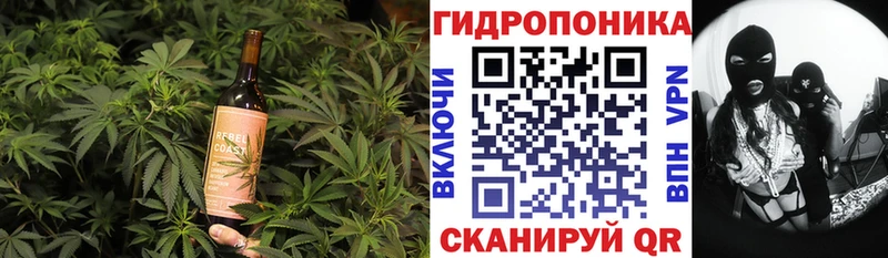 Canna-Cookies конопля  где купить наркоту  Петрозаводск 
