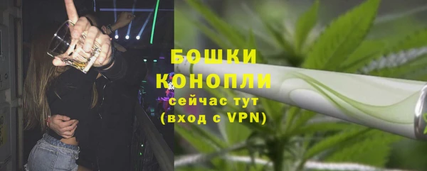 дмт Михайловск