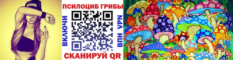 OMG ONION  darknet официальный сайт  Псилоцибиновые грибы MAGIC MUSHROOMS  Петрозаводск 