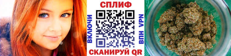 Бошки марихуана VHQ Петрозаводск